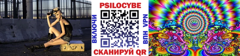 KRAKEN зеркало  Тюмень  Галлюциногенные грибы мицелий  наркота 